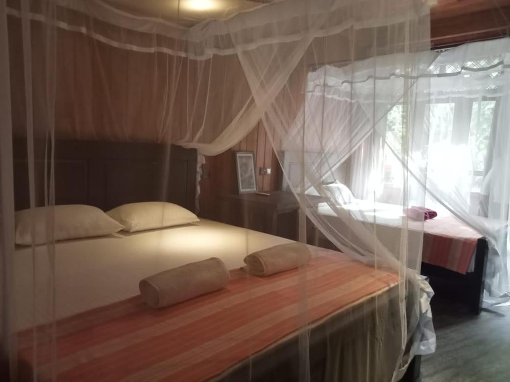 Piumi House Guest House Dikwella Bagian luar foto