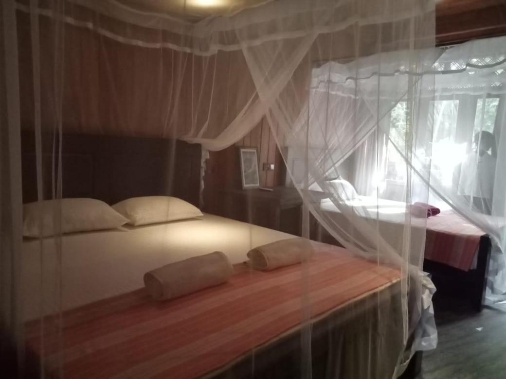 Piumi House Guest House Dikwella Bagian luar foto